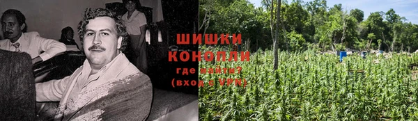 гидропоника Кодинск