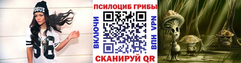 купить наркоту  Медвежьегорск  Псилоцибиновые грибы MAGIC MUSHROOMS 
